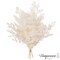 Uniquewise Preserved Real Floral Stems Chic Vase Fillers & Accents for Bouquets Centerpieces & Ornamental Displays Ideal for Home Office Boutique Cafe Resto Bar and Event Decor